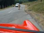 Porschetreffen Interlaken 175