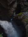 Jump to image