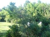 DSCF0126 