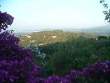 DSCF0137 