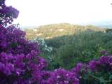 DSCF0138 