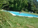 DSCF0149 