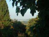 DSCF0171 